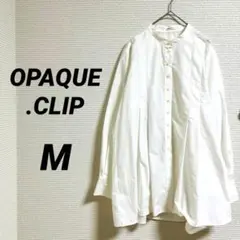 【オペークドットクリップ】 長袖ロングシャツ スタンドカラー アイボリー M