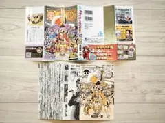 ONE PIECE 111巻　【裁断済み】