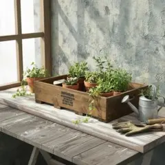 2026年最新】植物棚の人気アイテム - メルカリ