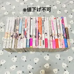 BL本 24冊 まとめ売り バラ売り❌