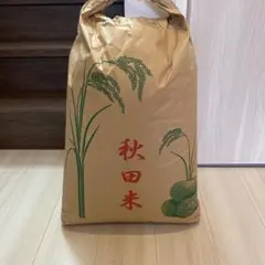 あきたこまち 30kg 秋田米 玄米 穀物のサムネイル