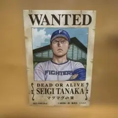 ファイターズシール田中正義