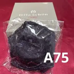 Item thumbnail for item 63b02967-5bd7-4390-aee3-689e35dc738a