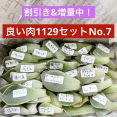 ぴっぴ様 リクエスト 3点 まとめ商品