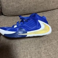 NIKE FREAK 1 バスケットボールシューズ