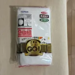 GUNZE メンズ 天引きブリーフ 前あき 2枚組 Lサイズ