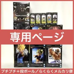 SEフィギュア様リクエスト専用ページ