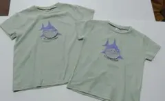 Item thumbnail for item 6b008895-b9ac-4403-88f6-9bb7f7ed3b68