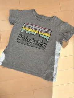 Patagonia グレー Tシャツ 4T