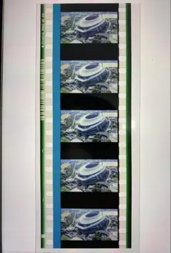 albert様 リクエスト 2点 まとめ商品