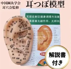 2025年最新】手ツボ 模型の人気アイテム - メルカリ