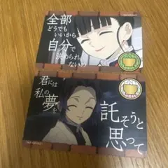 鬼滅の刃　胡蝶しのぶ　栗花落カナヲ　カード　すき家　コラボ　まとめ売り　セット