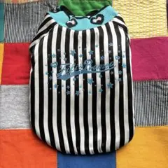 Item thumbnail for item 720f4a77-ab02-45ab-90ba-5ca09818304f