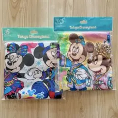 ディズニー ウォッシュタオル 2枚セット