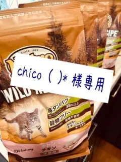 chico₋⁠(⁠ϋ⁠)⁠* 様専用品