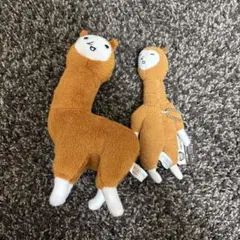 3*ん様 オレンジ色の動物ぬいぐるみセット