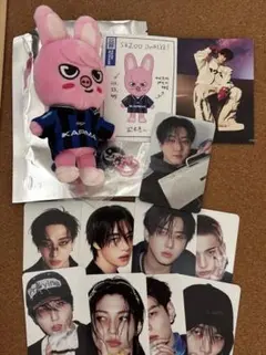 Stray Kids KARMA SKZOOチャンビン トゥェッキトレカ