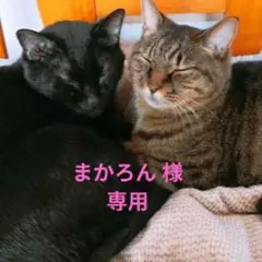 まかろん 様 専用ページ