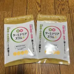 2025年最新】ターミナリアスリムの人気アイテム - メルカリ