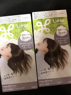 リーゼ 泡カラー ラベンダーグレージュ ヘアカラー 2箱のサムネイル