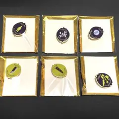 鬼滅の刃 隊士百景 不死川玄弥 ufotable コレクションピンズ