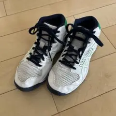 asics バスケットボールシューズ 22.0 cm