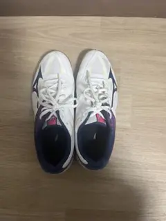 Mizuno バレーボールシューズ26センチ
