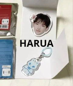 &TEAM HARUA ハルア アクリルリング/めじるしチャーム 2点セット