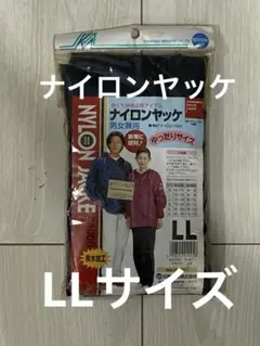 Item thumbnail for item 7798216f-5cc1-4a72-9846-3afc00d1af97