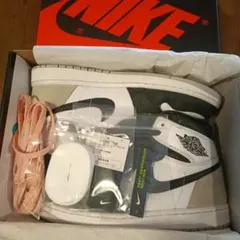 Nike Air Jordan 1 レトロハイog ブリーチドコーラル