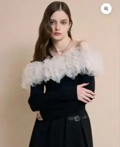 EIMY ISTOIRE チュールオフショルニット黒