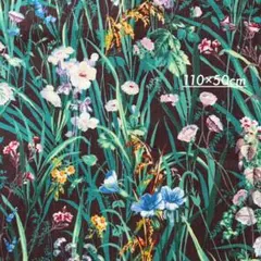 Item thumbnail for item daa3d4a7-7098-4b66-b168-81a3d0021abd