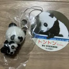 パンダ二世誕生記念 トントンちゃん キーホルダー 記念乗車券 - メルカリ