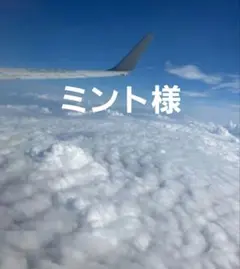 ミント様