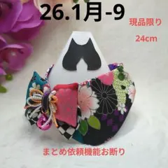 Item thumbnail for item a44fe93b-d4cd-40ea-8f6c-d7f04f02e890