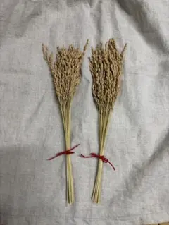 稲穂 インテリア