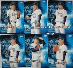 西武ライオンズプロ野球 カード 投手6枚セットBBM