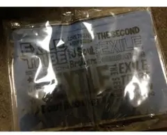 EXILE clutch bag merchandise?