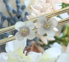 Item thumbnail for item fb4eef12-2fcf-472a-9cb2-49d229e43100