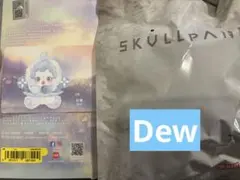 【正規品】SKULLPANDA L'impressionnisme