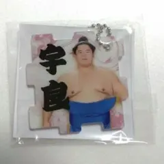 宇良 つながるパズルキーホルダー 大相撲