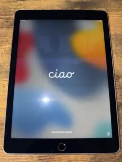 Apple iPad Air 2 16GB au版　制限無し