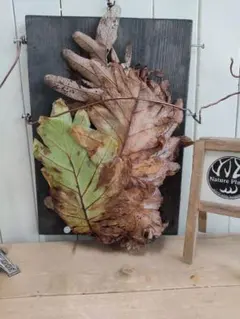 くまくろ様 リクエスト 2点 まとめ商品