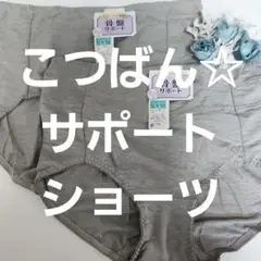 ガードル　パワーネット付き　骨盤　ショーツ　パンツ　LL　大きめ　大きいサイズ