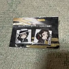 鬼滅の刃 鬼舞辻無惨ピンバッチ2個セット