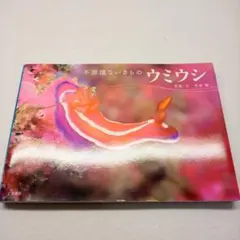 ウミウシ 不思議ないきもの