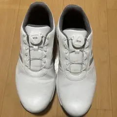 adidas ゴルフシューズ