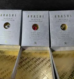 嵐 ARASHI 5×20 スワロフスキー FC限定 20周年記念品