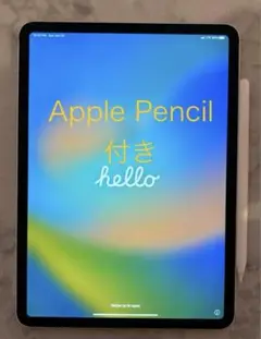 2025年最新】ipad pro 11 第2世代 64の人気アイテム - メルカリ