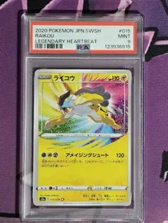 2025年最新】ライコウ アメイジングの人気アイテム - メルカリ